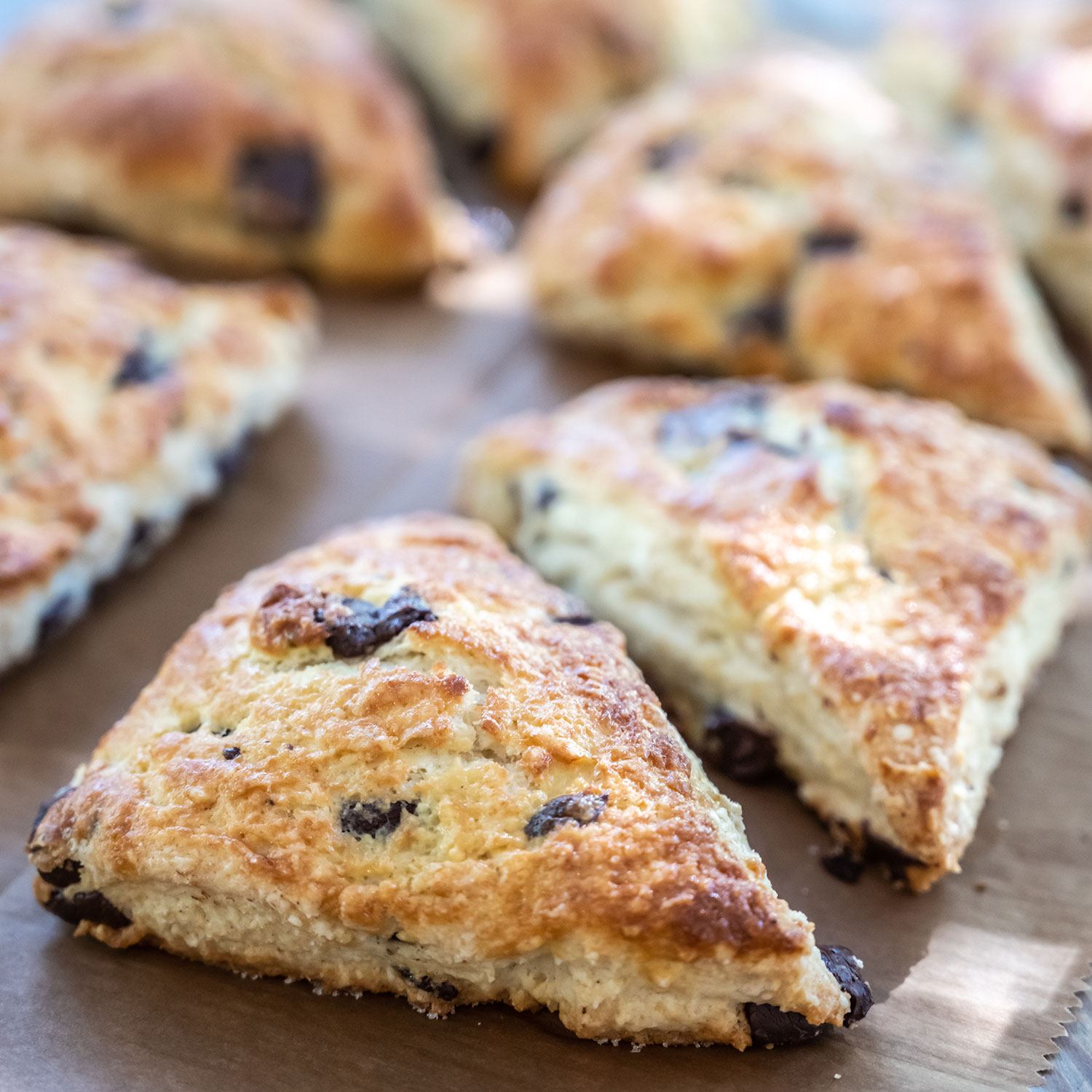 Golden-brown triangular scones with juicy blueberries throughout.
